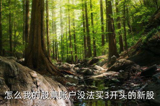 3開(kāi)頭的股票為什么不能買(mǎi)，請(qǐng)問(wèn)新開(kāi)戶(hù)的股民為什么不能買(mǎi)3字開(kāi)頭的股票