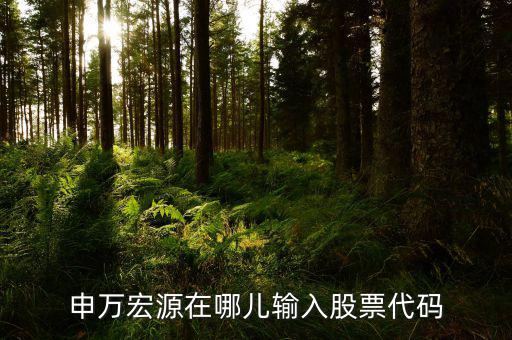 申萬(wàn)宏源為什么用字母查不到股票，申萬(wàn)宏源在哪兒輸入股票代碼