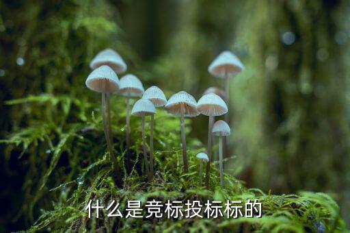 什么是投標(biāo)標(biāo)的，投標(biāo)的標(biāo)項是什么