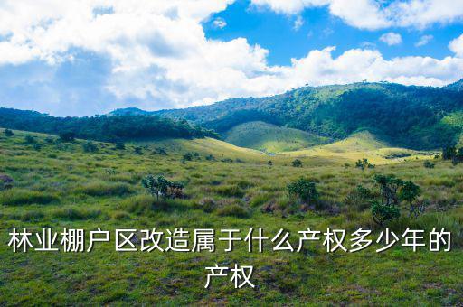 什么是林業(yè)棚戶區(qū)，請(qǐng)問蛟河林業(yè)棚戶區(qū)建造的樓房為什么收取物業(yè)費(fèi)會(huì)和取暖費(fèi)捆綁在一