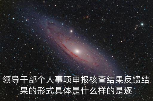 領(lǐng)導(dǎo)干部個人事項(xiàng)申報(bào)核查結(jié)果反饋結(jié)果的形式具體是什么樣的是逐