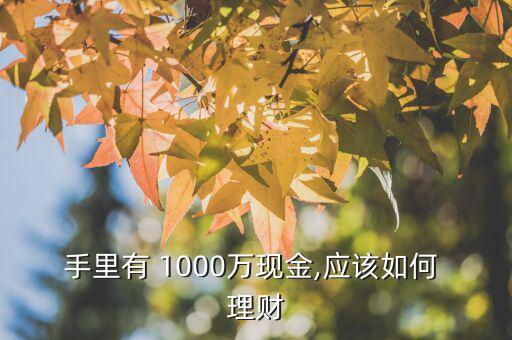 中獎1000萬怎么理財(cái),1000萬資金可投資股市