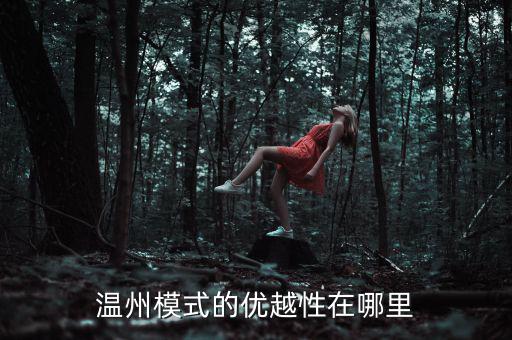 溫州模式為什么具有很強的經(jīng)濟性，溫州模式取得成功的原因6分題