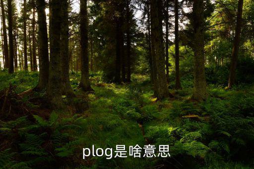airbnb是什么意思，booking是什么意思