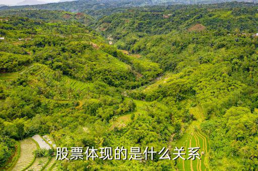 股票體現(xiàn)的是什么，股票到底反映的是什么