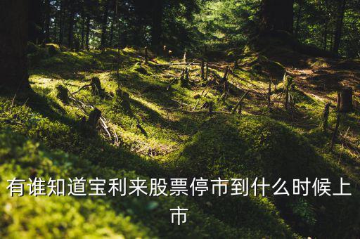 寶利來(lái)什么時(shí)候成為st股的，正常的股票變成st的具體時(shí)間