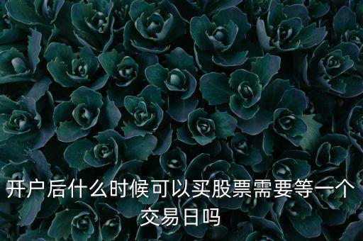 開(kāi)戶(hù)后什么時(shí)候可以買(mǎi)股票需要等一個(gè)交易日嗎