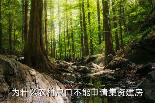 為什么現(xiàn)在不能集資，為什么農(nóng)村戶口不能申請集資建房