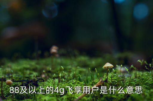 4g用戶是什么意思，88及以上的4g飛享用戶是什么意思