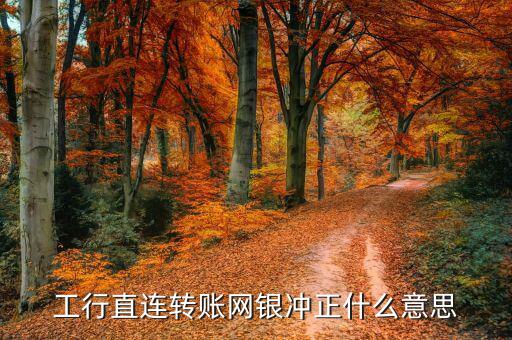 工行直連轉賬網(wǎng)銀沖正什么意思