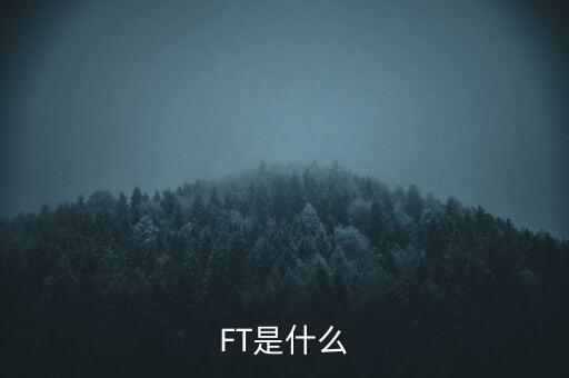 什么是FT調(diào)查，F(xiàn)T是什么