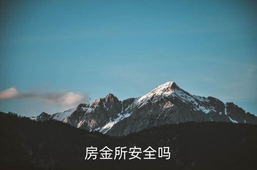 房金所平臺背景是什么，房總管金融有了解他是什么背景的嗎目前做公寓資金遇到了一些問題