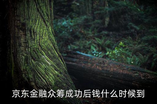 京東金融活動(dòng)什么時(shí)候結(jié)束，金條的活動(dòng)什么時(shí)候結(jié)束啊