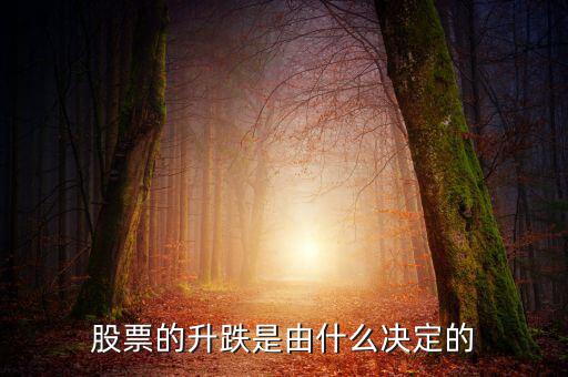 股票根據(jù)什么跌升，股票的升跌是由什么決定的