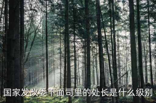 央企處長(zhǎng)是什么級(jí)別，央企比如移動(dòng) 電信 聯(lián)通 中石油石化 這些企業(yè)縣的老總是什么級(jí)別