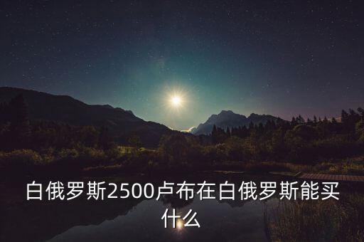 白俄羅斯盧布50可以買什么，白俄羅斯2500盧布在白俄羅斯能買什么