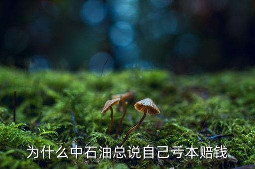 中石油為什么虧損，中石油為什么虧損慘重
