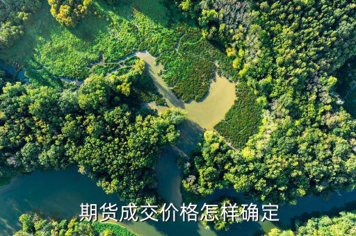 期貨價(jià)格變動怎么看,期貨價(jià)格漲跌原因很多主力或大資金參與