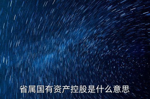 國(guó)資控股什么意思，國(guó)有資金投資占控股是什么意思