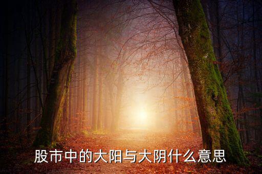 股票大陽是什么意思，股市中的大陽與大陰什么意思