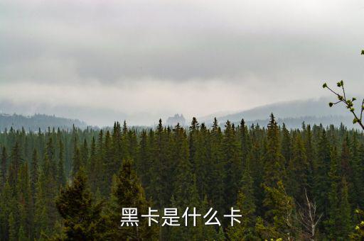 銀行卡黑卡是什么級別，黑卡是什么卡