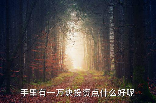 一萬元做什么投資，1萬元創(chuàng)業(yè)投資干什么好