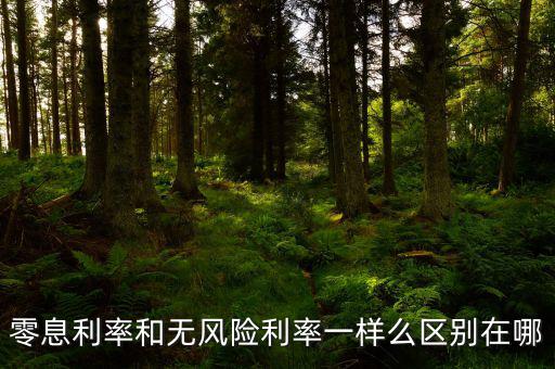 即期利率是什么，定期的利息和國(guó)期的利息是什么