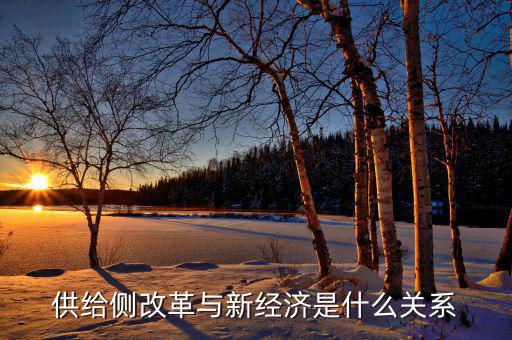 供給側(cè)改革與新經(jīng)濟是什么關(guān)系