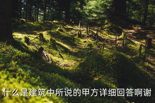 為什么說mint是甲方，MINTS DOUBLEMINT是什么意思