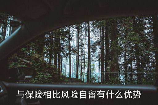 什么是風(fēng)險(xiǎn)自留，股票里有個(gè)自留的專業(yè)用語(yǔ)是什么意思