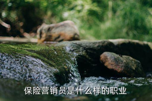 保險(xiǎn)承銷員是什么，保險(xiǎn)營(yíng)銷員是干什么的