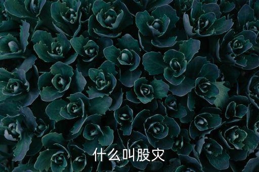 股災(zāi)逃脫人叫什么，做了壞事倉(cāng)皇而逃的人叫什么