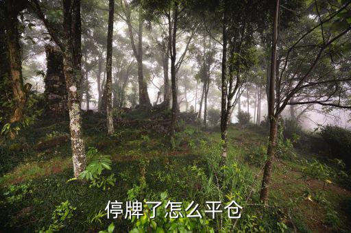 股票黑名單什么意思，股票配售黑名單是什么意思