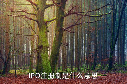 ipo注冊(cè)制是什么意思，IPO注冊(cè)制是什么意思和審批制有什么區(qū)別