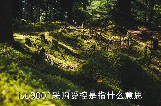 采購流程的雙控體系是什么意思，iso9001采購受控是指什么意思