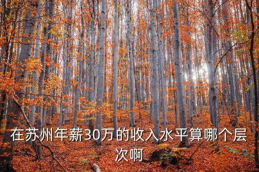 年薪三十萬(wàn)元處于什么階層，在蘇州年薪30萬(wàn)的收入水平算哪個(gè)層次啊