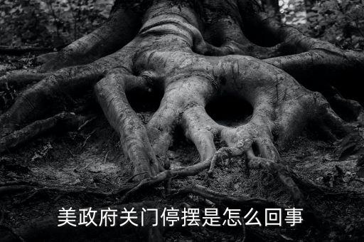 為什么美國政府關門，美國國會為什么關門