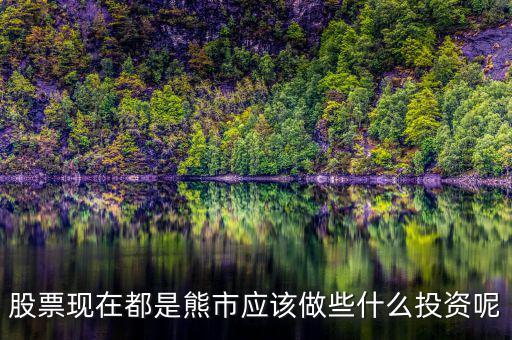 熊市投資什么，現(xiàn)在股票熊市我應(yīng)該做點什么投資項目呢