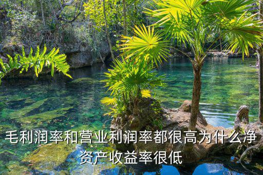 資產(chǎn)凈利率較低是為什么，為什么利潤(rùn)率高資產(chǎn)收益率卻低
