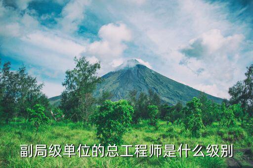 核安全總工程師是什么級(jí)別，總工程師是什么級(jí)別
