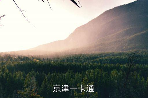 京津冀公交卡一體卡是什么樣子的，在北京辦的藍(lán)色的公交卡是可以在石家莊所有公交用了嗎還是說京津