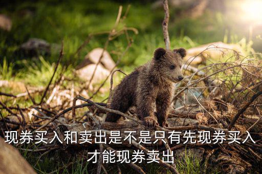 成交回報是什么，什么叫回報