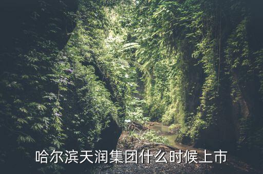 天潤乳業(yè)什么時候上市，哈爾濱天潤集團(tuán)什么時候上市