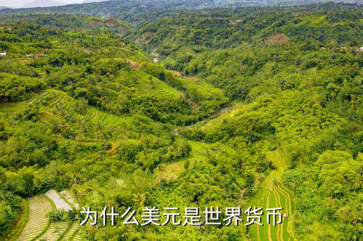 美元為什么是世界貨幣，為什么美元是世界貨幣