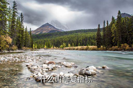 什么叫指標修復，什么叫指標修復