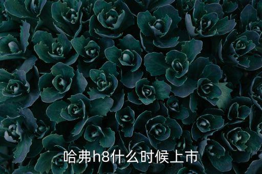 哈佛h8什么時(shí)候上市的，哈弗h8什么時(shí)候上市