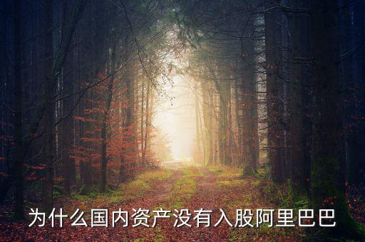 當(dāng)初為什么沒投阿里巴巴，為什么國內(nèi)資產(chǎn)沒有入股阿里巴巴
