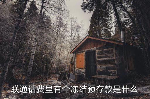 凍結(jié)預(yù)存款是什么意思，聯(lián)通話費(fèi)里有個(gè)凍結(jié)預(yù)存款是什么