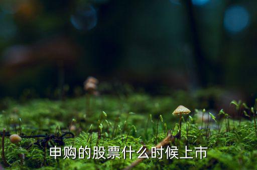 四方申購什么時候上市，申購的新股什么時候上市交易