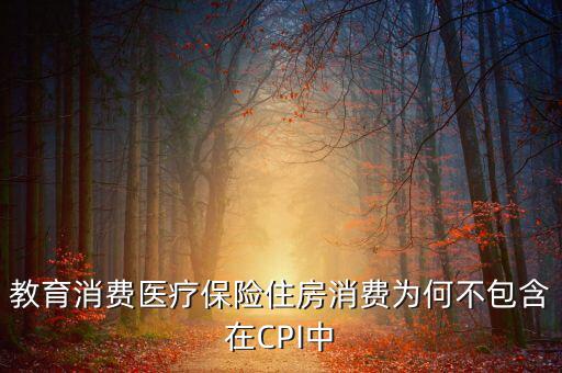 房價(jià)為什么不納入cpi，為什么在中國房價(jià)不算入CPI消費(fèi)水平也就是物價(jià)里面